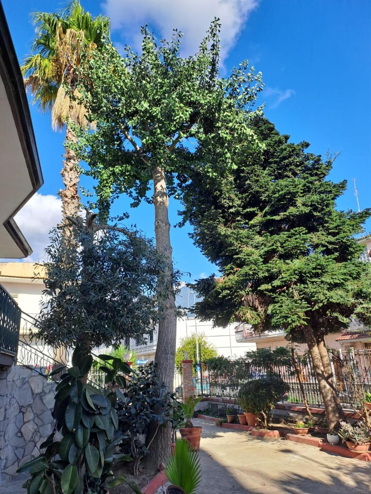 A Casa Di Luigi 2 Apartamento Mugnano di Napoli Exterior foto